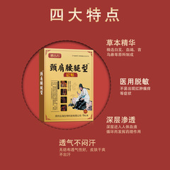 Black Plaster Manufacturer: Cervical, Shoulder, Lumbar Spine, Joint & Synovial Pain Relief Plasters—Premium Musculoskeletal Taping Products for Direct Sales and Field Promotion