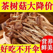 �����乽500��؛��؛�r�����r��н���o�����㹽Ģ����ᘹ�