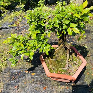 �d�ӻ�����̴�������҃ȷ�����ļ��L���_������辰ֲ������