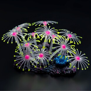 �V���̼� ˮ�����~���쾰���z�Ʒ ���z������ëɺ���S��ֱ�N