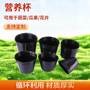 �I�B���籭�I�B��һ�������ϱ��I�B��������߲����B������������