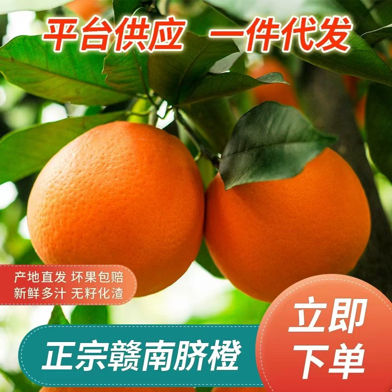 Прямые поставки с сада, апельсины Ган Нан Навел 5kg — свежие фрукты, собранные в Цзянси, с тонкой кожурой, сладкие и ароматные, оптовый поставщик фруктов.