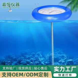Swimming Pool Thermometer Fish Tank Fish Pool Floating Water Temperature Meter Baby Sauna Bath Water Temperature Meter Temperature Tester