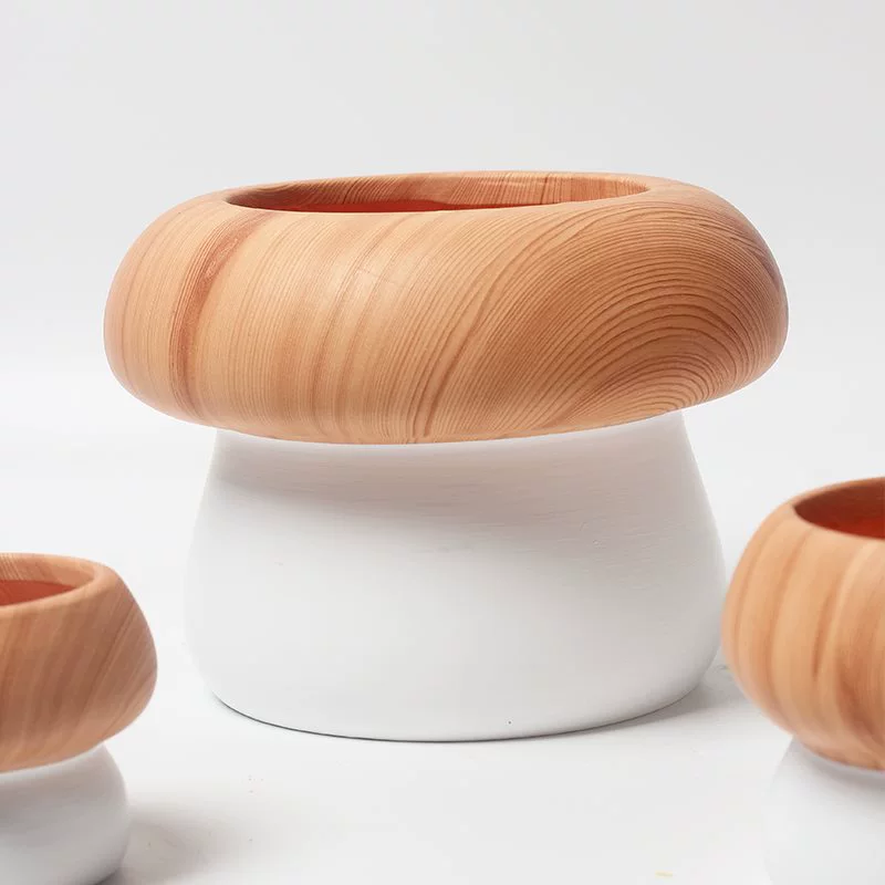 Новый минималистский гриб светло-древесный узор