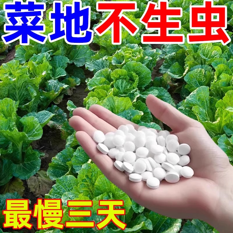 Gardening Insect-Proof Tablets, Sugarized Boron Fertilizer Tablets, Insect-Proof Granules, Flowers, Green Plants, Potted Plants, Vegetable Fields, Insect-Proof and Root-Rot Prevention