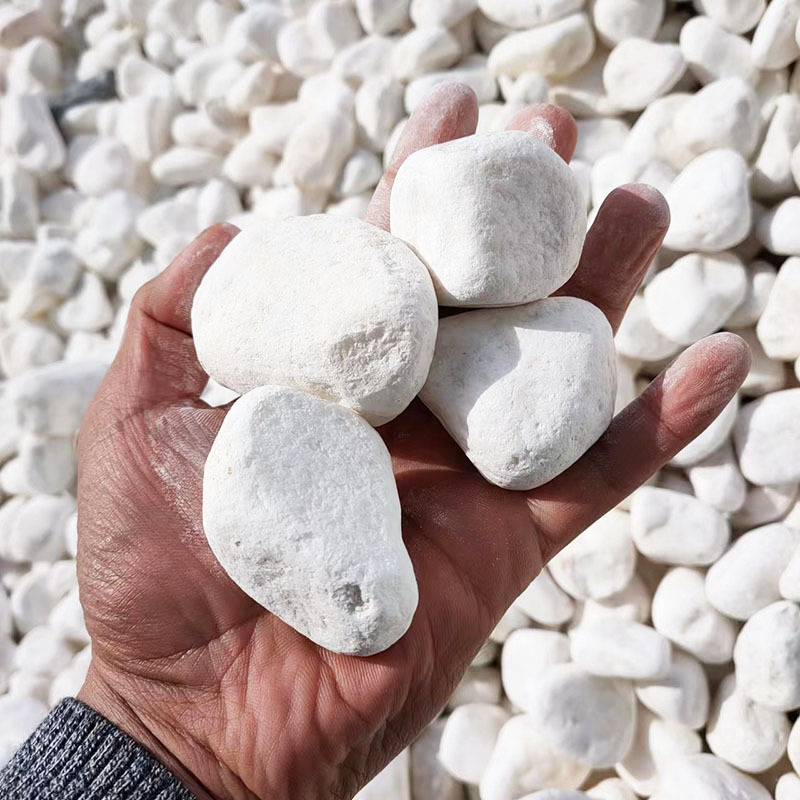 b9f5aa2487db38ea09dda96963b6dc