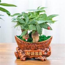 lؔ主FմlؔԾGֲֲdӻɻ