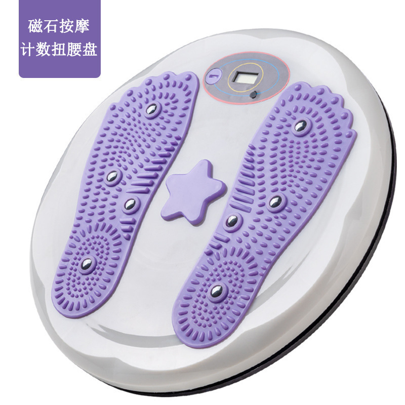 NYP010 자석 계수 트위스트 턴테이블