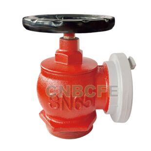 ���� �҃�����˨SNJ65���Q����˨ �p��������˨ �p��˨ �S��ֱ�N