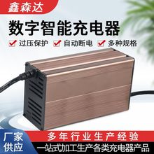 48V��Ԫ�ۺ����늳�늄�܇����54.6V10A15A20A22A�������ܳ����