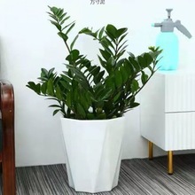 մɻ̖ش̖бP⻨WʽsɫG}Sһl