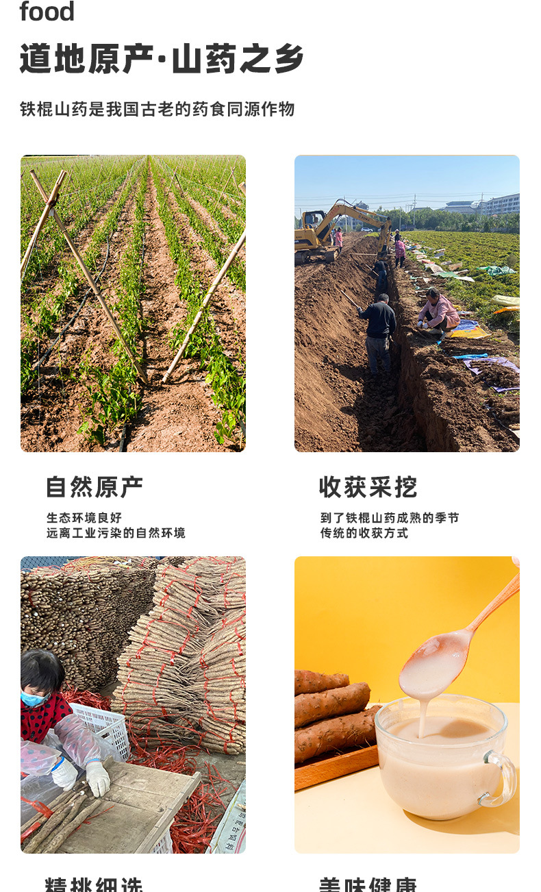Wenxian Iron Stick Yam Powder Huai Shan Yao 255g Henan Jiaozuo Lu Soil Yam Drink Mix overview