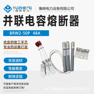 BRW2-10KV �K����۔��� BRW2-50P 48A �K��ݱ��o���۔���