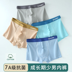 Underwear for boys, adolescents, students, middle school students, high school students, big children, pure cotton four-sided pants, development period with added thickness