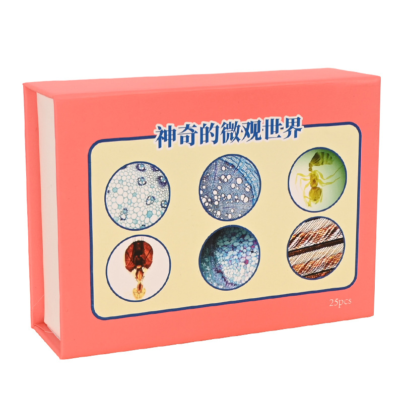 生物显微镜标本切片套装25片动物植物细胞玻璃载玻片实验儿童学生