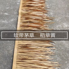 �p�B�S�ҹ���é��������b�é���߷�����ȼé��������é��