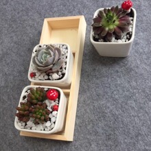 �S��ֱ�N̎��3��ľ�|�ռ{����С�;Gֲľ���̨����С����