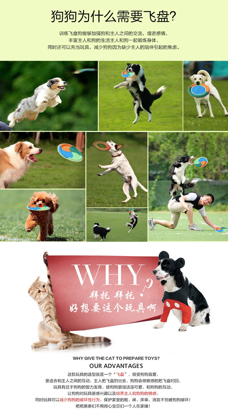 详情页_02.jpg