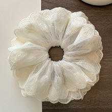 ��ʽ����㼑��L��ɫ�ٽz���c�lȦŮ�߼������^�l����̖�l��^�K