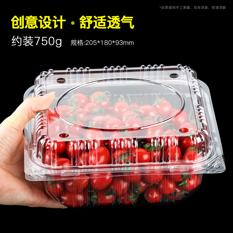 폭발 작은 풍요 [약 750 그램]