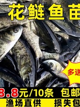 �����~����^�~�糬�����I������^�~�����^�~��ˮ�Bֳ�I�~��ʳ��