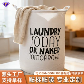 收纳篮/筐;储物挂袋;脏衣篮