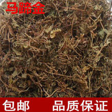野山马蹄金 荷包草 黄胆草 小马蹄草 真货好货