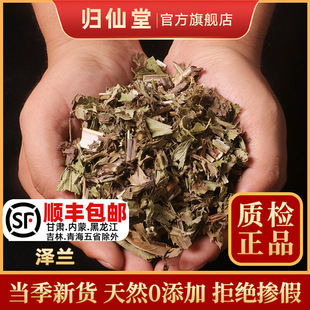 泽兰中药材500g泽兰草新货泽兰叶正品地瓜苗 地笋 甘露子干净无杂-阿里巴巴
