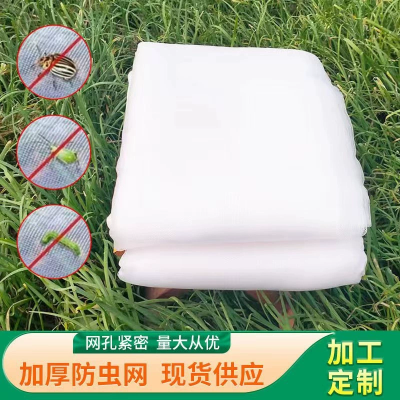 Manufacturer spot cross-border agricultural fruit tree vegetable insect prevention network Botanical gardening greenhouse export insect prevention network