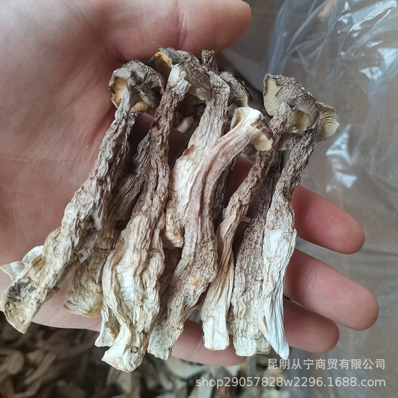 Dried Deer Antler Mushroom 500g Premium Edible Fungus for Soup and Stir Fry key features