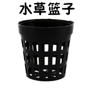 �~�� ˮ�ݷNֲ�@�� ˮ�ݱ� ���bˮ������̖ �M��������ˮ�ݻ@��