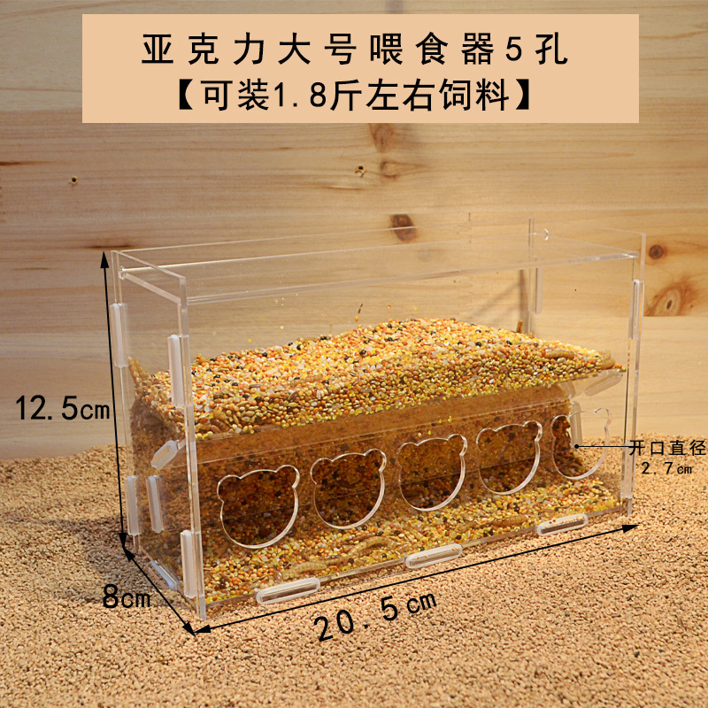 亚克力双层5孔喂食器♜✦