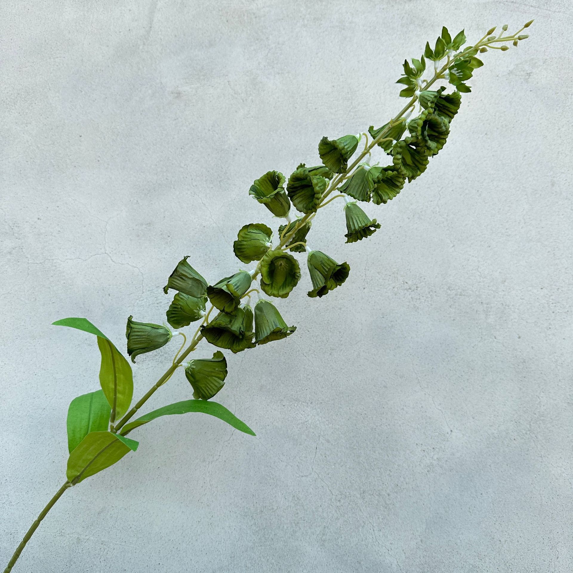 Lily of the valley-green