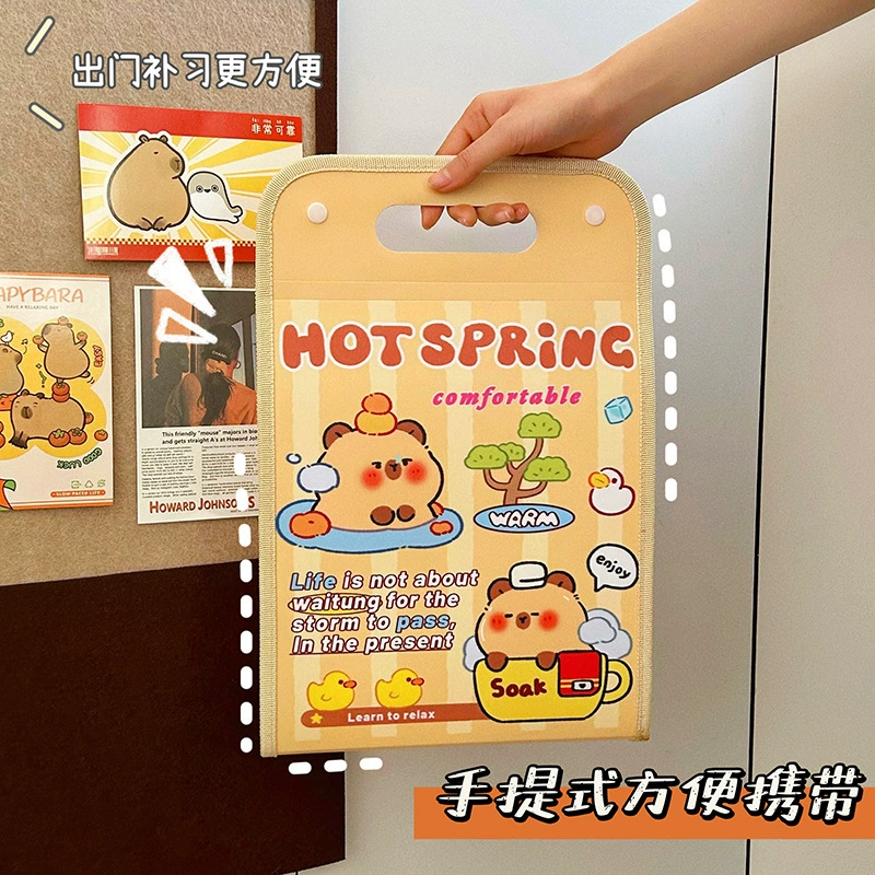 卡皮巴拉 Multilayer organ for students, folder, classification