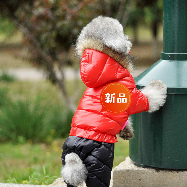 DSC_0949_2_副本_副本