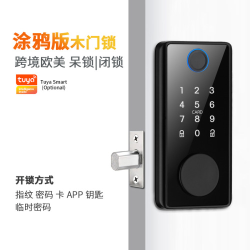 Cross-border European and American North American graffiti Tuya universal ttlock closed door wooden door smart fingerprint and password door lock