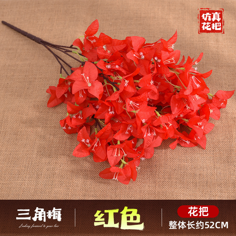 다섯 갈래 부겐빌레아 - 레드