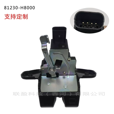 Central Locking System Kia Rio 18-19 Trunk Tailgate Lock 81230-H8000 Oe Replacement Part (Central locking)