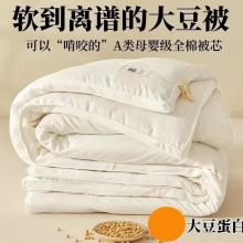 大豆纤维被a类被子四季通用空调被春秋被被芯纯棉加厚冬被子