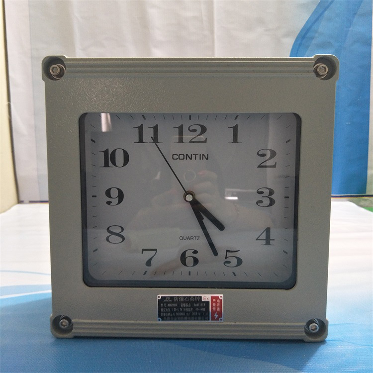 BSZ2010防爆石英钟 化工制药厂用防爆钟表 加厚型 壁挂式石英钟