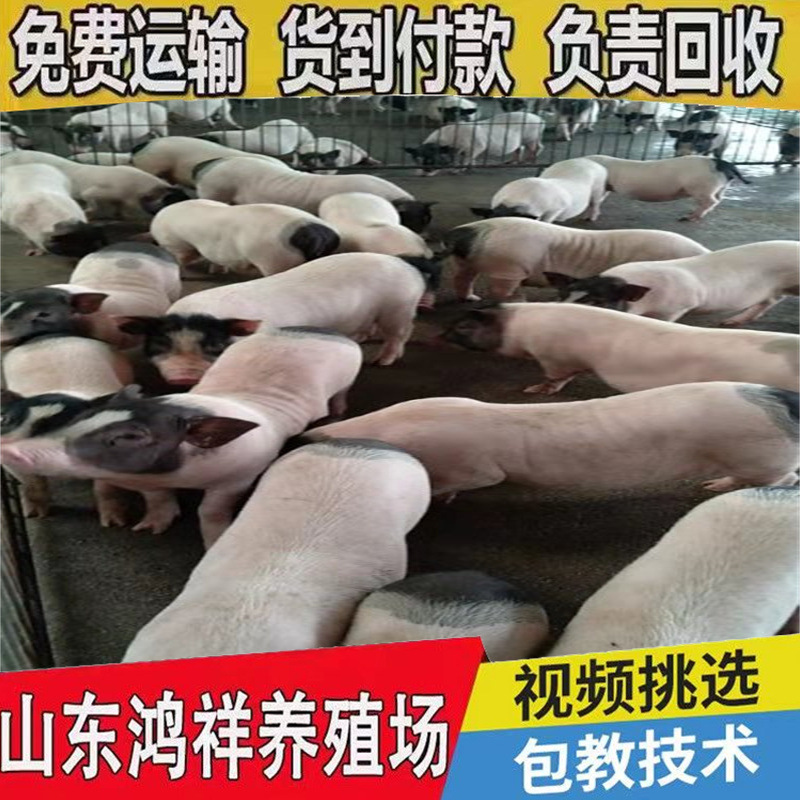 dd4b50cb07134ee58bf44bed270506