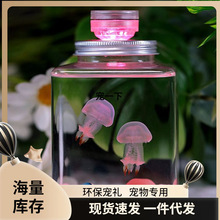 ˮĸ�����ˮĸ�l��ˮĸ����׌W����ͯ���BС����С�����