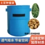 生长透气多用途吸水种植袋