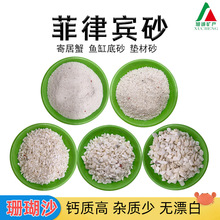 ���l�����eɰ���������~�׵�ɰ�ľ�з��ɺ��ɳ�����|��ؐ��ɰ