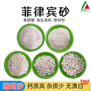 ���l�����eɰ���������~�׵�ɰ�ľ�з��ɺ��ɳ�����|��ؐ��ɰ