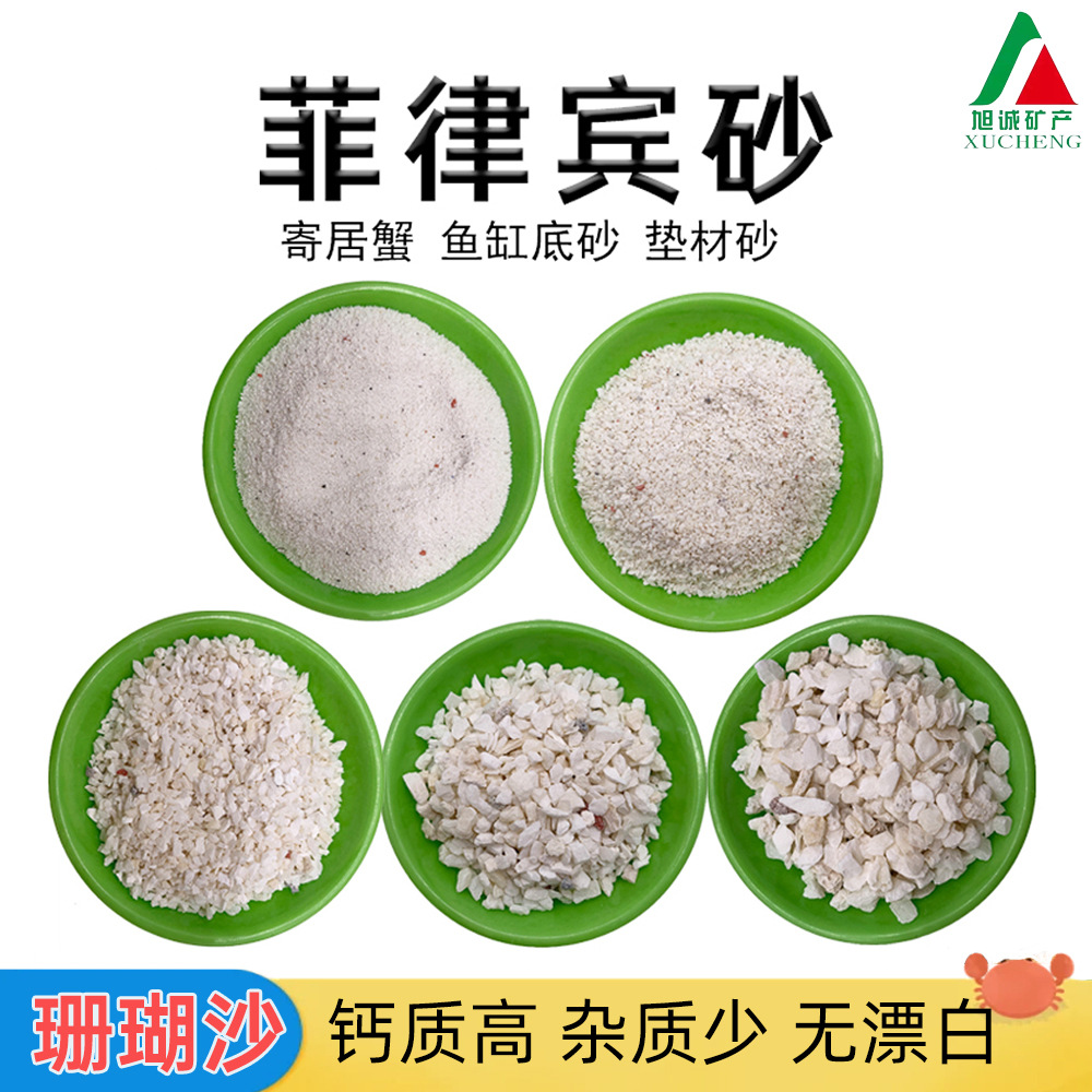 批发菲律宾砂三湖慈鲷鱼缸底砂寄居蟹用珊瑚沙爬宠垫底贝壳砂
