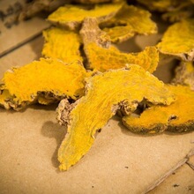 ���S��ș���l���rҰ�����SƬ���x��؛�x؛��ș�İ��]