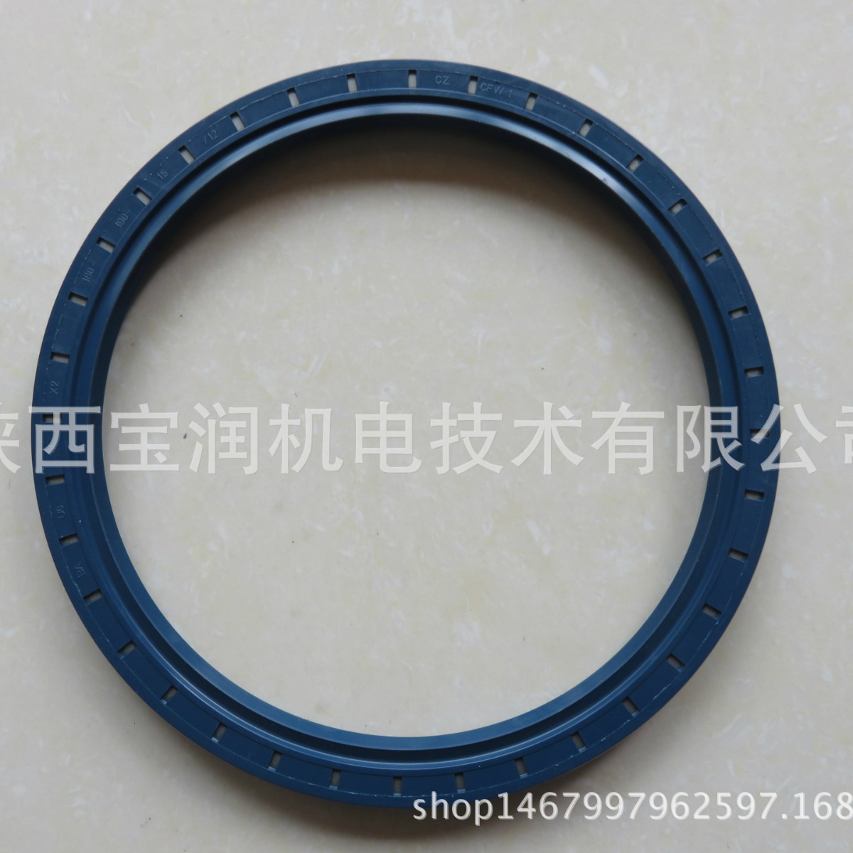 供应Simrit骨架油封  BAUSLX2 160X190X15 49030496