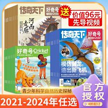 好奇号杂志2021-2024年青少年科学自然历史探秘中英双语科普订阅