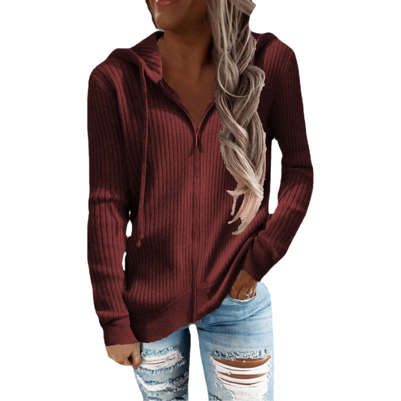 Suéter Informal Grueso de Otoño e Invierno, Estilo Europeo y Americano, Suéter Holgado de Punto, Cárdigan con Cremallera, Sudadera con Capucha de Manga Larga para Mujer